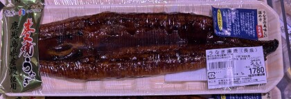 8月1日のおすすめ!『うなぎ長焼』