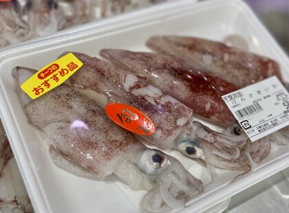 3月27日のおすすめ！千葉県産『けんさきいか』