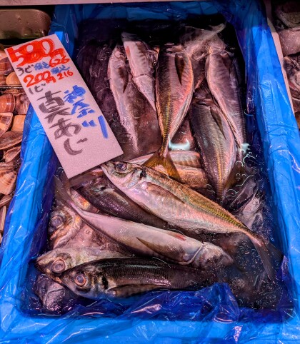 5月8日のおすすめ！『天然鮮魚』