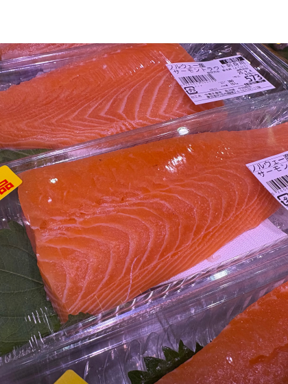 9月2日のおすすめ！ノルウェー産『サーモントラウト刺身用』（養殖）