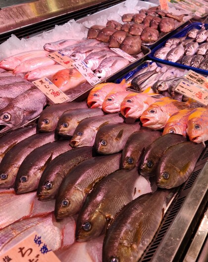 6月9日のおすすめ!岩手県産『うまづらはぎ』🐟