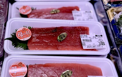5月11日のおすすめ！高知県産『生本まぐろ刺身用』