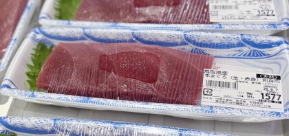 6月4日のおすすめ！鳥取県産『天然生本まぐろ刺身用』