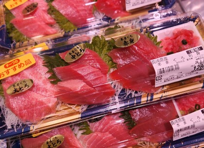 2月24日のおすすめ！長崎県産『本まぐろ刺身』