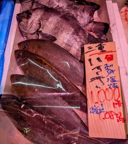 5月8日のおすすめ！『天然鮮魚』