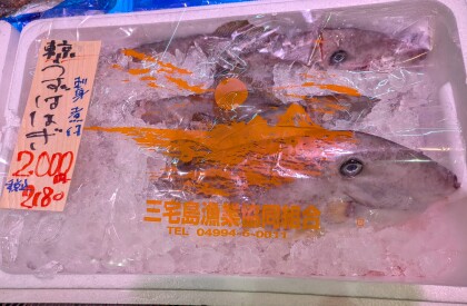 5月8日のおすすめ！『天然鮮魚』