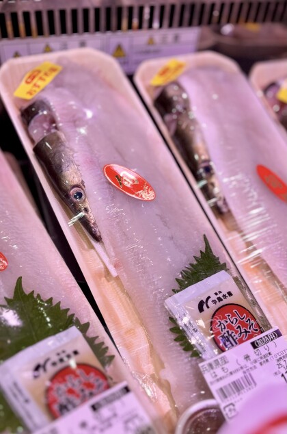 7月29日のおすすめ！自家製『はも湯引き刺身』