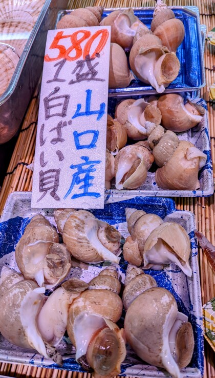 4月22日のおすすめ 白ばい貝 魚河岸 中與商店 ショップトピックス グランベリーパーク