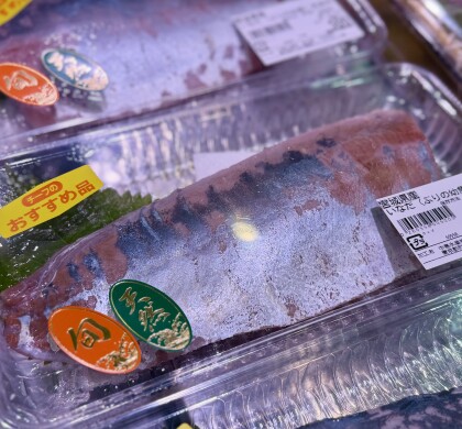 11月10日のおすすめ!『いなだ刺身用』(ぶりの幼魚)