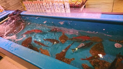 4月9日のおすすめ 生け簀の旬魚 魚河岸 中與商店 ショップトピックス グランベリーパーク