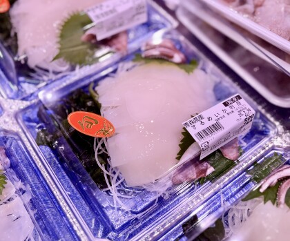 7月30日のおすすめ！青森県産『するめいか』