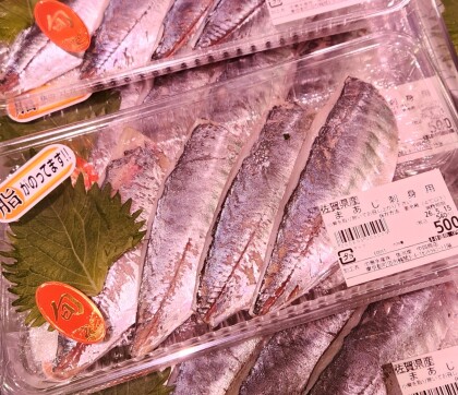 5月14日のおすすめ！佐賀県産『まあじ刺身用』