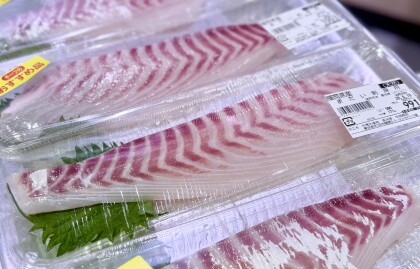 6月8日のおすすめ!福岡県産『天然まだい刺身用』