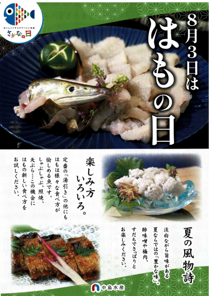 8月2日のおすすめ！天然おさかな大集合『あかはた 刺身』『きんき（きちじ）湯引き刺身』