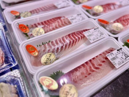 3月22日のおすすめ！天然『くろだい刺身用』
