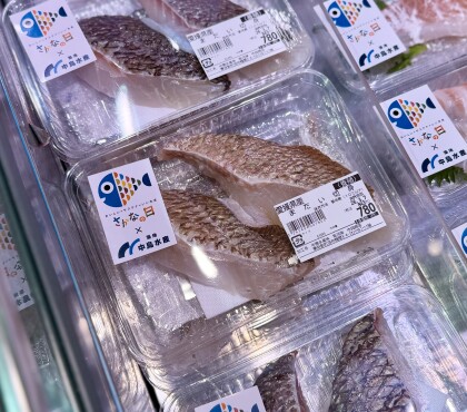 3月4日のおすすめ！愛媛県産『まだい』