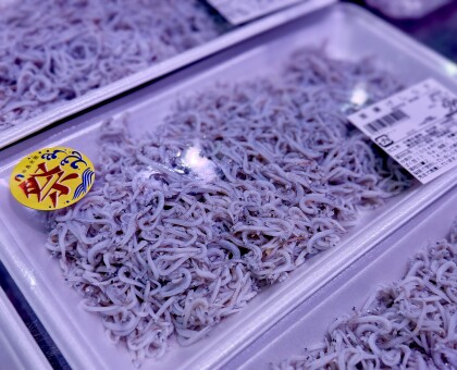 11月6日のおすすめ!茨城県産『釜揚げしらす』