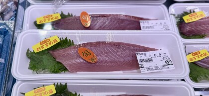 4月9日のおすすめ！『かつお刺身用』