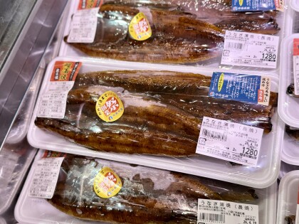 4月16日のおすすめ！本日より創業祭開催！！