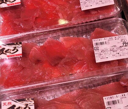 9月4日のおすすめ!🐟毎月3~7日はさかなの日🐟