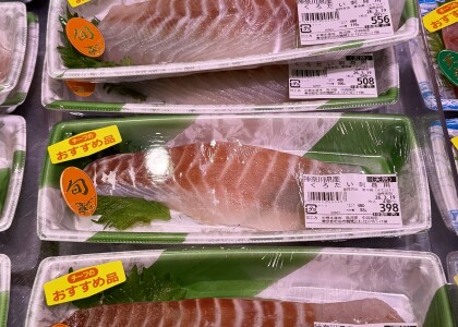 3月17日のおすすめ！神奈川県産『天然黒鯛』