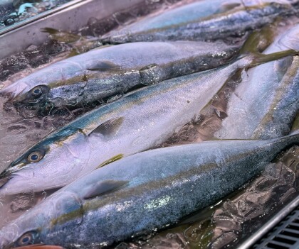 10月30日のおすすめ！対面コーナーより『鮮魚』