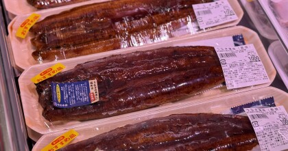 1月8日のおすすめ！炭火焼『うなぎ蒲焼』