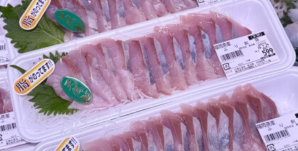 7月29日のおすすめ！福岡県産「天然ぶり刺身」