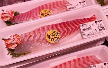 3月13日のおすすめ!本日より『愛媛 宇和島まつり』開催🐟