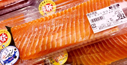 10月2日のおすすめ！福井県産『サーモントラウト刺身用』