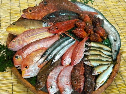 5月8日のおすすめ！『天然鮮魚』