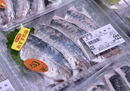 6月10日のおすすめ！福岡県産『まあじ刺身用』