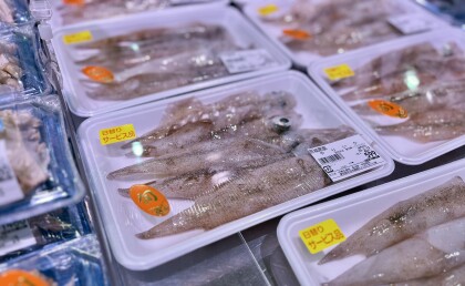 3月11日のおすすめ！いか祭！「やりいか」