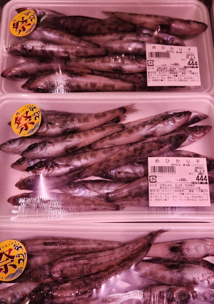 2月6日のおすすめ！【いわき常盤もの祭り】本日より開催！