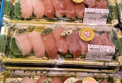 6月28日のおすすめ！🐟『本まぐろづくし鮨』
