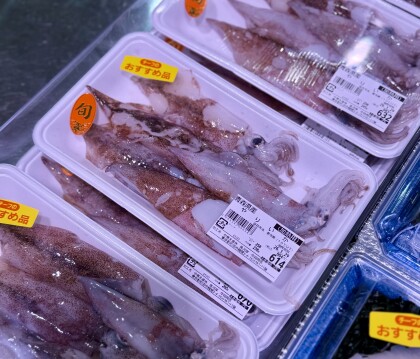 1月28日のおすすめ！『やりいか』