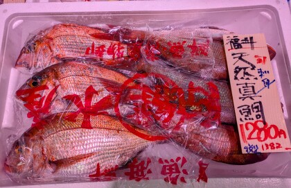 5月8日のおすすめ！『天然鮮魚』