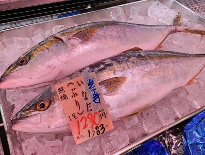 8月22日のおすすめ!福岡県産 天然『ぶり切身』