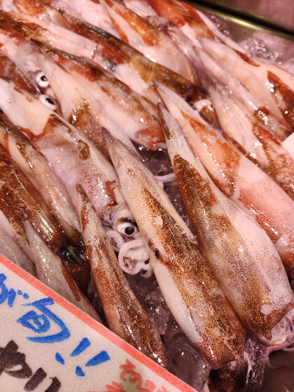 4月5日のおすすめ！🐟毎月3~7日はさかなの日🐟青森県産『子持 やりいか』