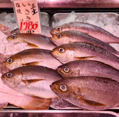 本日のおすすめ！6月16日（火）まで！お刺身 ぶつ切り祭🏮よりどり3点1,080円🏮