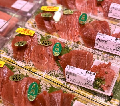 3月16日のおすすめ！宮城県産『天然本まぐろ』