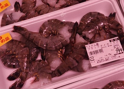 1月30日のおすすめ！『ブラックタイガー海老』(養殖・解凍）