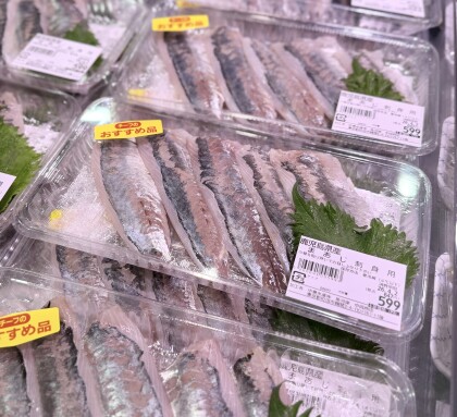 4月1日のおすすめ！鹿児島県産『まあじ刺身用』