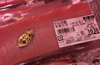 10月12日のおすすめ！マルタ産『本まぐろ（中とろ）刺身用』
