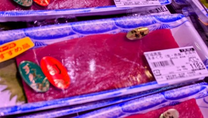 5月13日のおすすめ！宮城県産　天然『生本まぐろ刺身用』