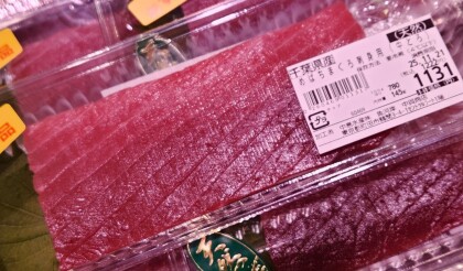 11月18日のおすすめ！『天然めばちまぐろ刺身用（中とろ）』