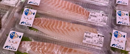 3月4日のおすすめ！愛媛県産『まだい』