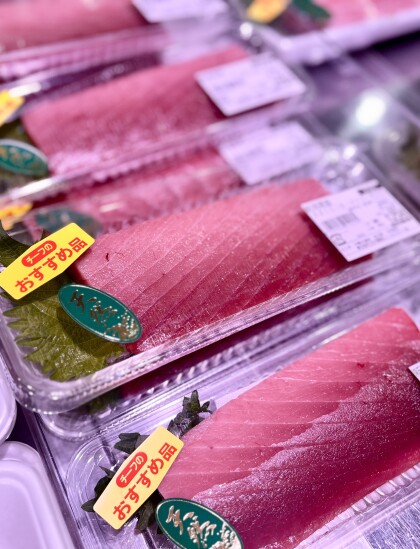 5月27日のおすすめ！新潟県産　天然『生本まぐろ刺身用』