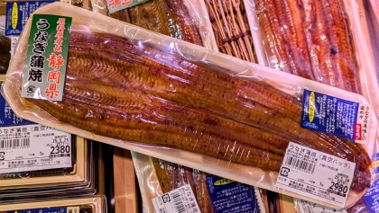 5月21日のおすすめ！静岡県産『うなぎ蒲焼』