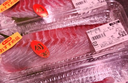 3月23日のおすすめ！神奈川県産『天然黒鯛』